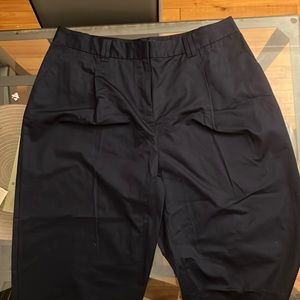 Hudson North Pleated Cropped Pants in Navy